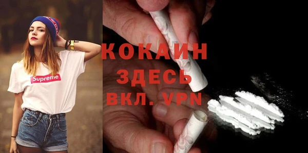 дмт Новозыбков