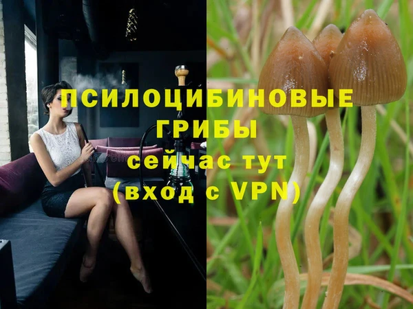 марки nbome Новодвинск
